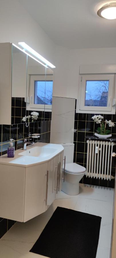 Schoene Und Optimal Gelegene Wohnung Og Weisskirchen Eksteriør bilde